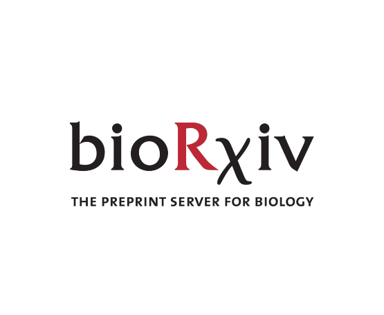 Cancer Cells Viscoelasticity Measurement by Quantitative Phase and Flow Stress Induction